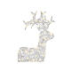 Reno luminoso 80 LED acrílico suave transparente blanco cálido 90 cm int ext temporizador  s3