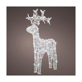 Luminous reindeer, 80 flashing cold white LED lights with timer, flexible acrylic, 35 in, IN/OUTDOOR