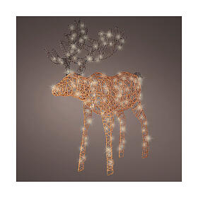 Christmas moose decoration 160 microLED warm white synthetic wicker 110 cm indoor outdoor timer