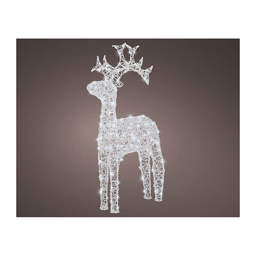 Santa Claus' reindeer, 120 flashing cold white LED lights, acrylic, 50 in, IN/OUTDOOR 4