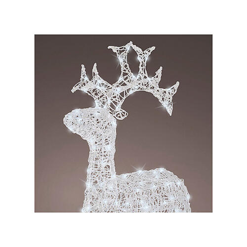 Santa Claus' reindeer, 120 flashing cold white LED lights, acrylic, 50 in, IN/OUTDOOR 9