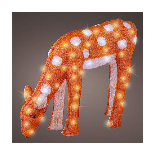 Christmas light fawn eating, 100 cold white LED lights, acrylic, 20 in, IN/OUTDOOR 1