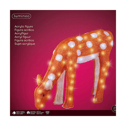 Christmas light fawn eating, 100 cold white LED lights, acrylic, 20 in, IN/OUTDOOR 6