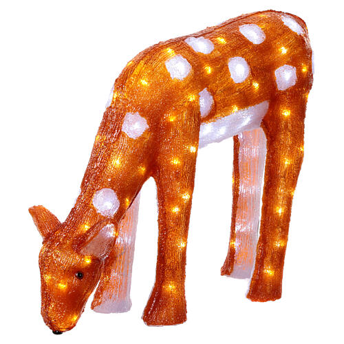 Chevreuil qui mange 100 LEDs blanc froid acrylique 50 cm int/ext 4