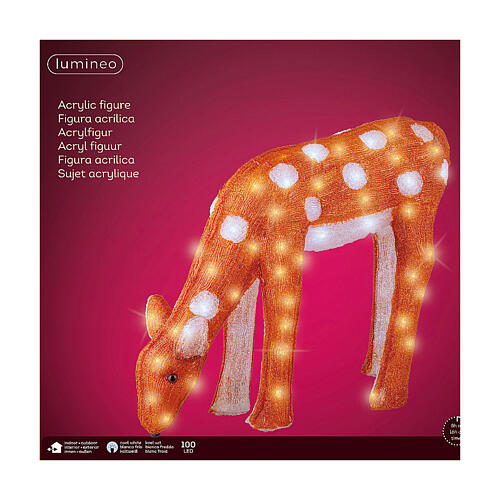 Chevreuil qui mange 100 LEDs blanc froid acrylique 50 cm int/ext 6