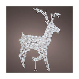 Reindeer with front leg raised, 120 flashing cold white LED lights, acrylic, 50 in, IN/OUTDOOR