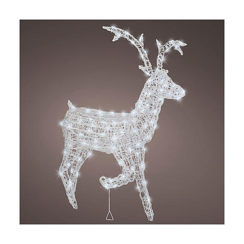 Reindeer with front leg raised, 120 flashing cold white LED lights, acrylic, 50 in, IN/OUTDOOR 1