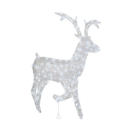 Reindeer with front leg raised, 120 flashing cold white LED lights, acrylic, 50 in, IN/OUTDOOR 2