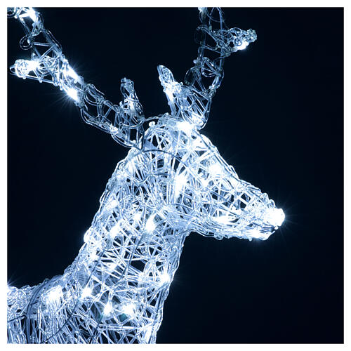 Reindeer with front leg raised, 120 flashing cold white LED lights, acrylic, 50 in, IN/OUTDOOR 3