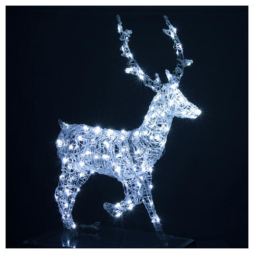 Reindeer with front leg raised, 120 flashing cold white LED lights, acrylic, 50 in, IN/OUTDOOR 4