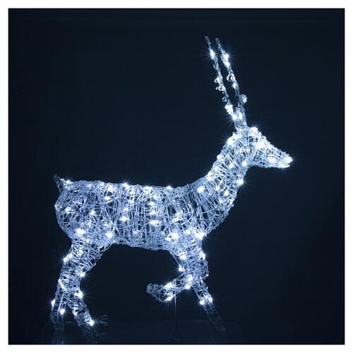Reindeer with front leg raised, 120 flashing cold white LED lights, acrylic, 50 in, IN/OUTDOOR 5