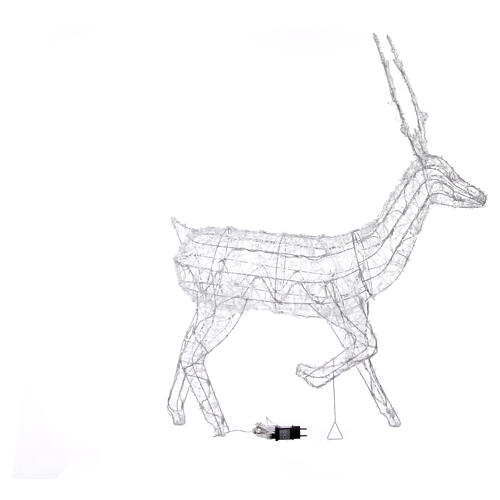 Reindeer with front leg raised, 120 flashing cold white LED lights, acrylic, 50 in, IN/OUTDOOR 7