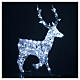 Reindeer with front leg raised, 120 flashing cold white LED lights, acrylic, 50 in, IN/OUTDOOR s4