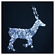 Reindeer with front leg raised, 120 flashing cold white LED lights, acrylic, 50 in, IN/OUTDOOR s5
