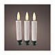 Set of 10 warm white battery-operated LED candles with remote control and internal Christmas tree s2