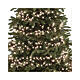 Cluster twinkle chain of 3000 warm white LED Christmas lights, 8 light plays, 28 m, in/outdoor s5