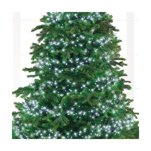 Cluster twinkle chain of 3000 cold white LED Christmas lights, 8 light plays, 27 m, in/outdoor 6