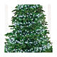 Cluster twinkle chain of 3000 cold white LED Christmas lights, 8 light plays, 27 m, in/outdoor s6