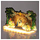Crystal Tales Nativity Scene with 21 LED lights, battery or USB cable, indoor, 15x20x10 cm s1