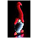 Gnome blanc et rouge Infinity Light 240 LEDs multicolores int/ext double face 90x45 cm s3
