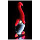 Gnome blanc et rouge Infinity Light 240 LEDs multicolores int/ext double face 90x45 cm s4