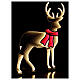 LED Reindeer Infinity Light 90x75 cm 438 fixed light multicolor double face int ext s4