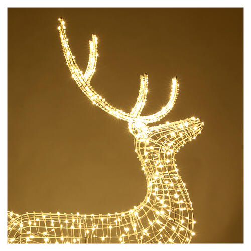 Renna luminosa 150x80x25 cm 700 maxi gocce led luce fissa int est bianco caldo 6