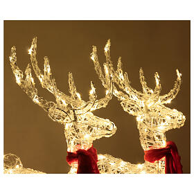 Par de renas e trenó fio de cristal 240 LEDs interior e exterior h 75 cm