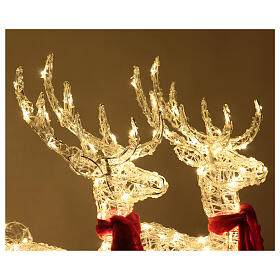 Pair of reindeer and crystal wire sled with 240 LEDs internal and external, h 75cm