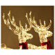 Pair of reindeer and crystal wire sled with 240 LEDs internal and external, h 75cm s2