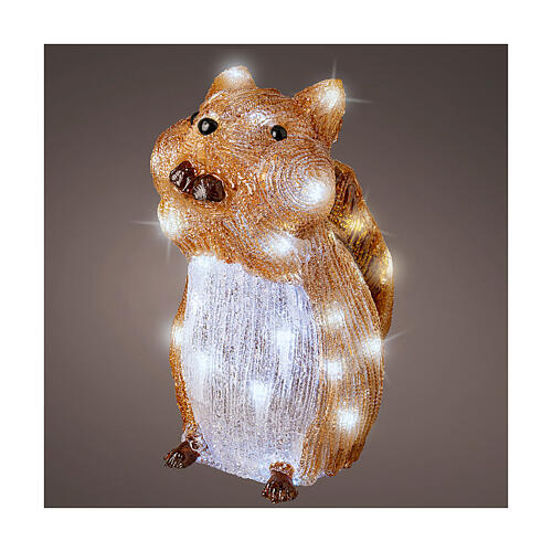 Christmas squirrel, 40 battery-powered LED lights, indoor/outdoor acrylic decoration, h 10 in 1