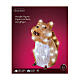 Christmas squirrel 40 LED acrylic battery internal and external h 25 cm s3