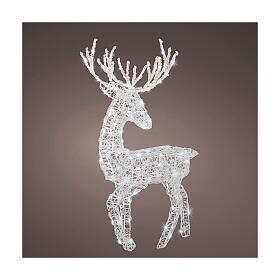 Reindeer with 100 cold white LED lights, flexible acrylic, indoor/outdoor, 37 in