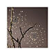 Light curtain, pole star with flickering effect, 216 LEDs, 18 in, idoor/outdoor s2