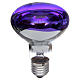 Ampoule réflecteur R80 lumière diffuse 60W E27 violet s1
