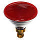 Coloured light bulb 80W, E27, red for nativities lighting s1