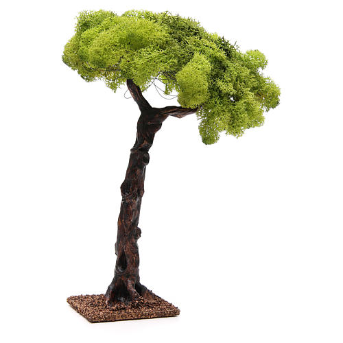 Dąb do szopki 35cm 2