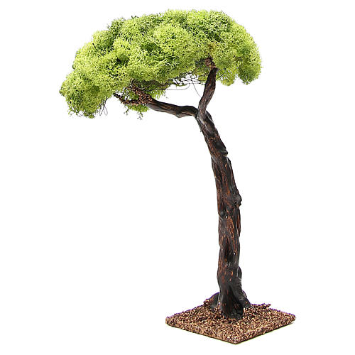 Dąb do szopki 35cm 4