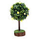 Lemon tree for nativity scene in resin and wood s1