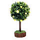 Lemon tree for nativity scene in resin and wood s2