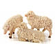 Conjunto 3 ovelhas com lã para presépio napolitano com figuras 14 cm altura média s1