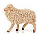 Conjunto 3 ovelhas com lã para presépio napolitano com figuras 14 cm altura média s2