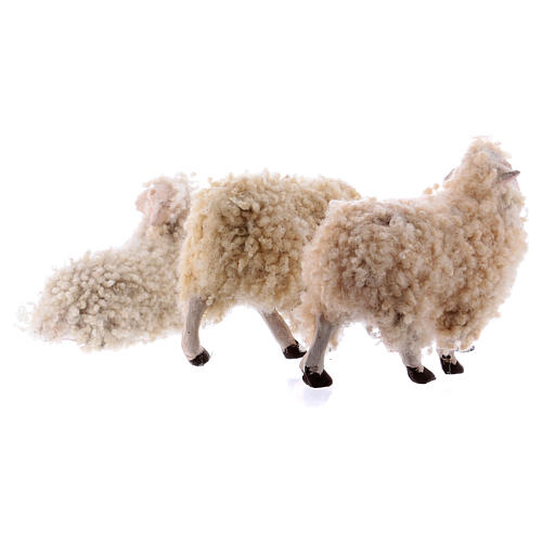 Komplet 3 owce z wełną 18 cm szopka neapolitańska 5