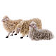 Komplet 3 owce z wełną 18 cm szopka neapolitańska s1