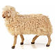 Kit 3 ovejas con lana para belén Napolitano con figuras de altura media 22 cm s2