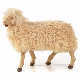 Conjunto 3 ovelhas com lã para presépio napolitano com figuras 22 cm altura média