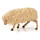 Conjunto 3 ovelhas com lã para presépio napolitano com figuras 22 cm altura média s3