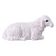 Sheep for a 6-8-10 cm Nativity. s1