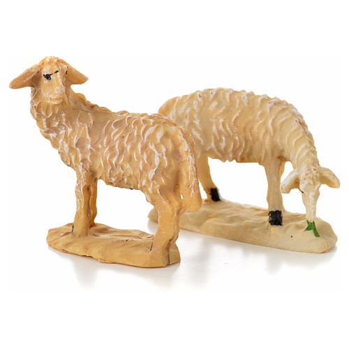 Nativity figurine, sheep 10 - 15 cm 3