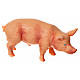 Cerdo resina para el belén de 10 a 12 cm. s1